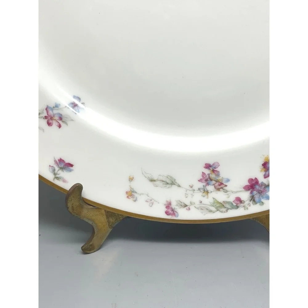 Vtg Limoges Floral Porcelain Dinner Plate Haviland France, Haviland & Co Limoges